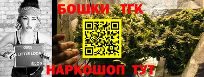 дмт Гусев